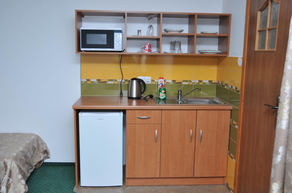 Willa Stenia Apartamenty Wisla Bagian luar foto